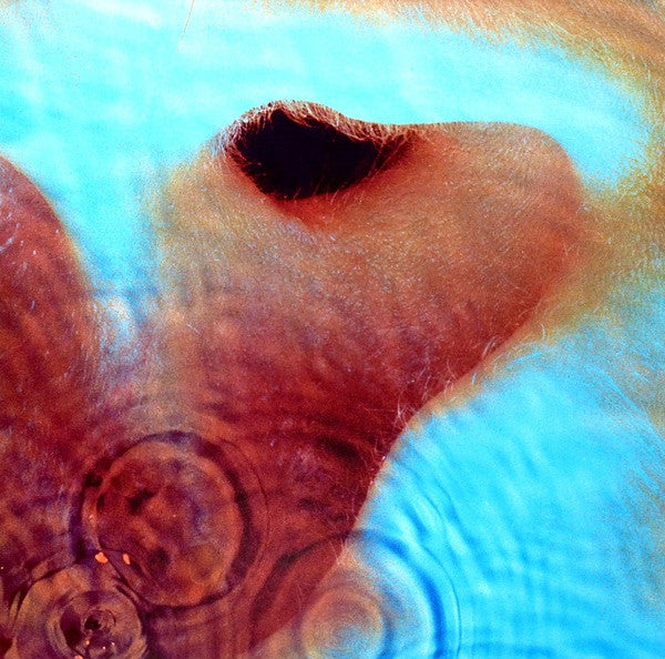 Pink Floyd - Meddle LP, Album, RE, RM, 180 VG+/VG