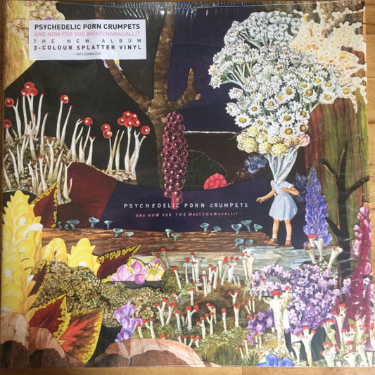 Psychedelic Porn Crumpets - And Now For The Whatchamacallit LP, Album, Ltd, Yel VG+/VG+