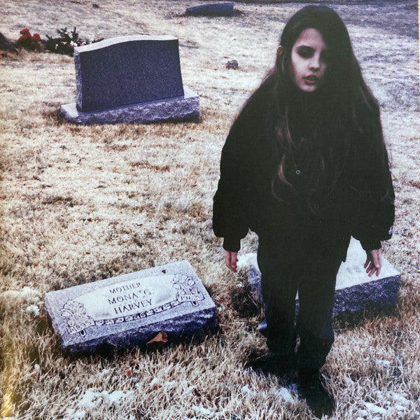 Crystal Castles - Crystal Castles 2xLP, Album, Gat VG/G