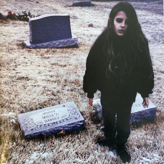 Crystal Castles - Crystal Castles 2xLP, Album, Gat VG/G
